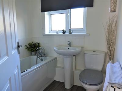 Picture 16
